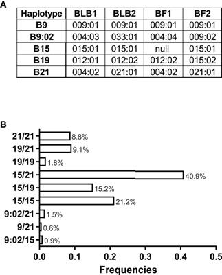 The Diverse Major Histocompatibility Complex Haplotypes of a Common Commercial Chicken Line and Their Effect on Marek’s Disease Virus Pathogenesis and Tumorigenesis